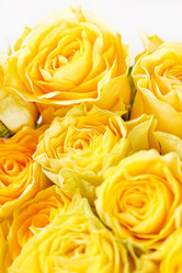 Similar image 2198721