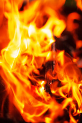 Similar image 2203567