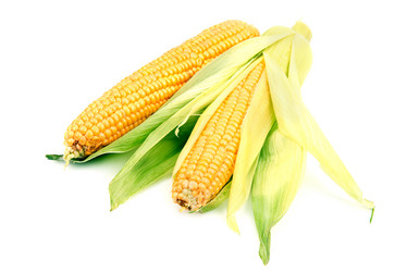 Similar image 2203784