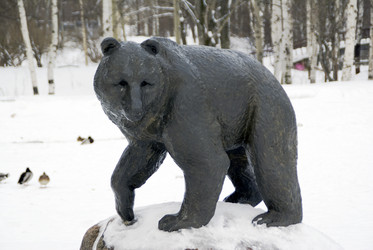 Similar image 2203985