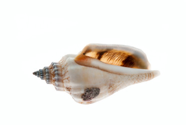 Similar image 2204083