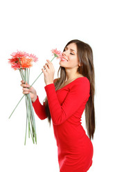 Similar image 2204151