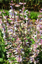 Similar image 2204262