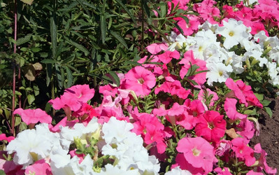 Similar image 2204267