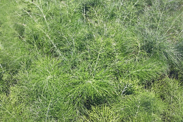 Similar image 2204270