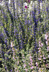 Similar image 2204278