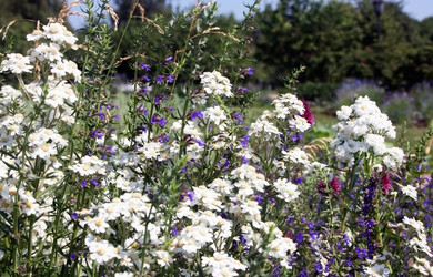 Similar image 2204279