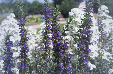 Similar image 2204281