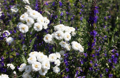 Similar image 2204284