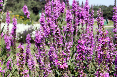 Similar image 2204286