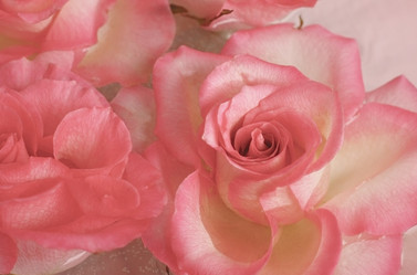 Similar image 2204328