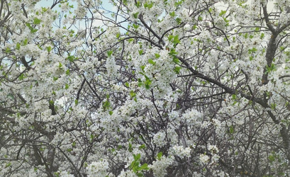 Similar image 2204329