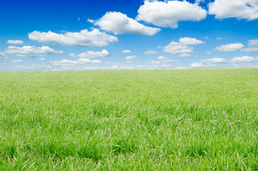 Similar image 2205573