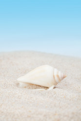 Similar image 2205589