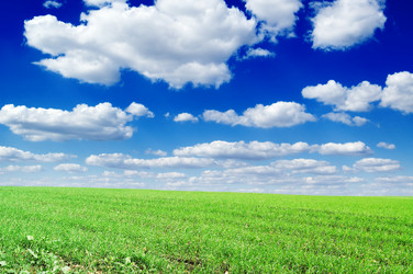 Similar image 2205626