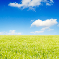 Similar image 2205647