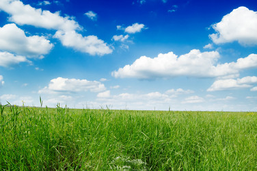 Similar image 2205650