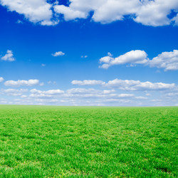 Similar image 2205656