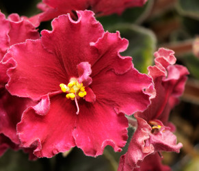 Similar image 2205659