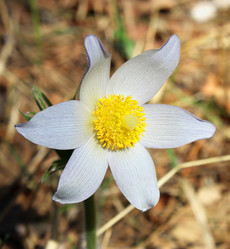 Similar image 2205938