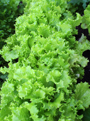 Similar image 2206015