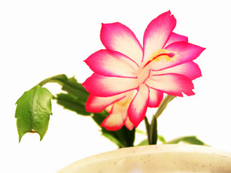 Similar image 2206024