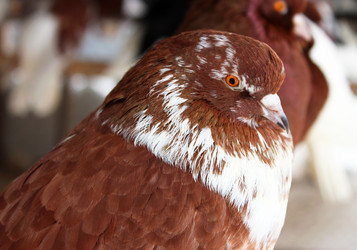 Similar image 2206038