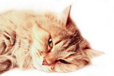 Similar image 2206046