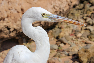 Similar image 2206069