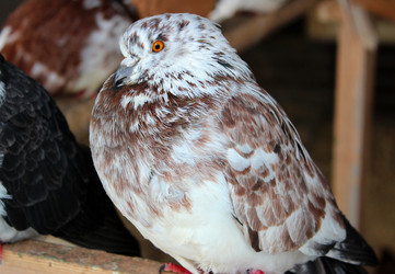 Similar image 2206080