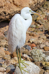 Similar image 2206094