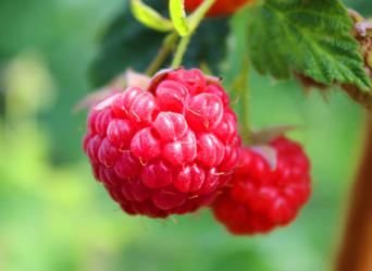 Similar image 2206130