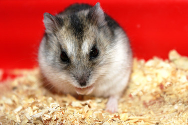 Similar image 2206188