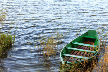 Similar image 2206238