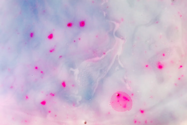 Similar image 2206249