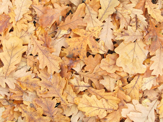 Similar image 2206250