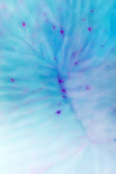 Similar image 2206253