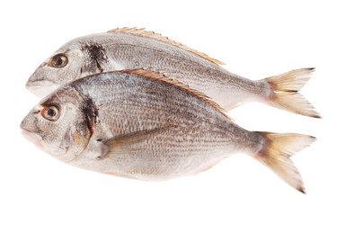 Similar image 2206259