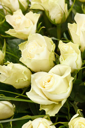 Similar image 2206278