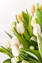 Similar image 2206283