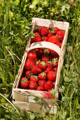 Similar image 2206288