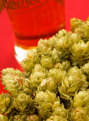 Similar image 2206304