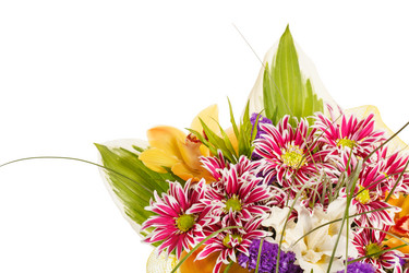 Similar image 2206328