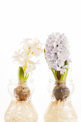 Similar image 2206426