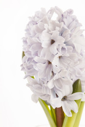 Similar image 2206427