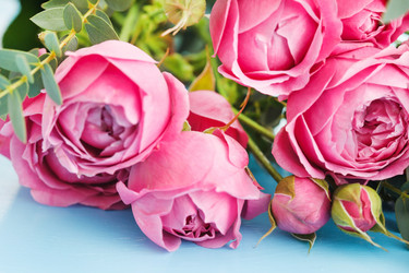 Similar image 2206494