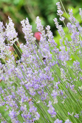 Similar image 2206518