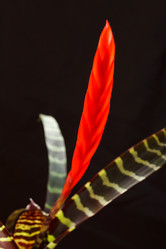 Similar image 2206523