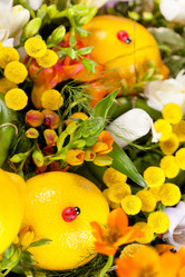 Similar image 2206525