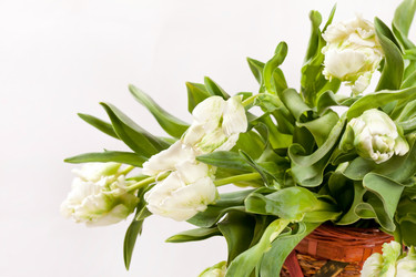 Similar image 2206534